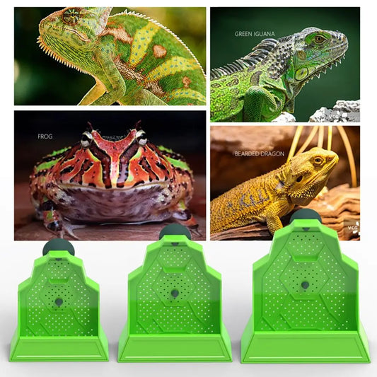 Plastic Reptile Feeding Bowl Hanging Suction - ProPawPet.com