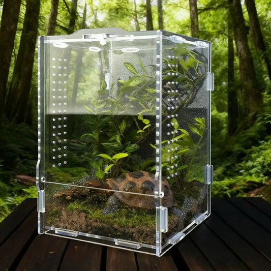 Acrylic Jumping Spider Enclosure Buckle Lock - ProPawPet.com