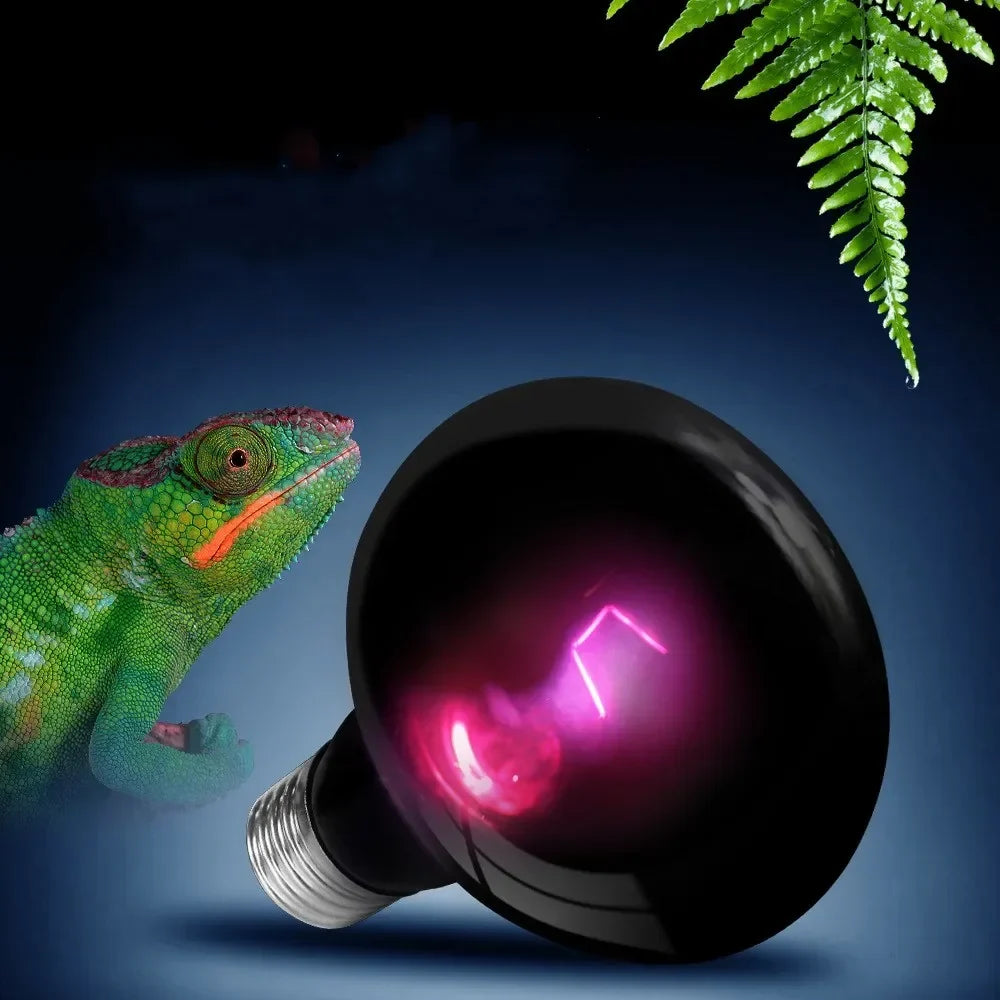 Reptile UVA Infrared Moonlight Heat Lamp - ProPawPet.com
