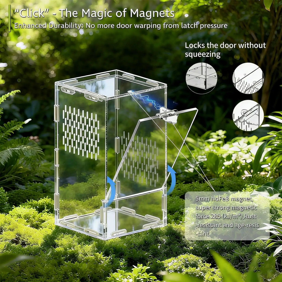 Jumping Spider Enclosure Acrylic Clear - ProPawPet.com