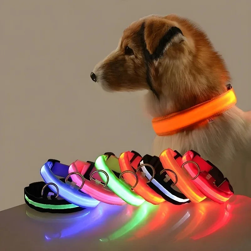 Dog Collar Nylon LED Night Safety Flashing - ProPawPet.com