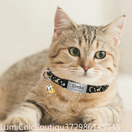 Custom Glow Cat Collar Free Engraved - ProPawPet.com