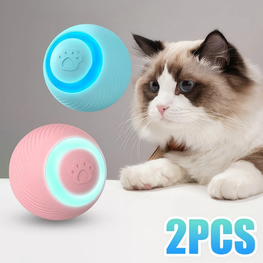 Cat Interactive Ball Toy Training - ProPawPet.com