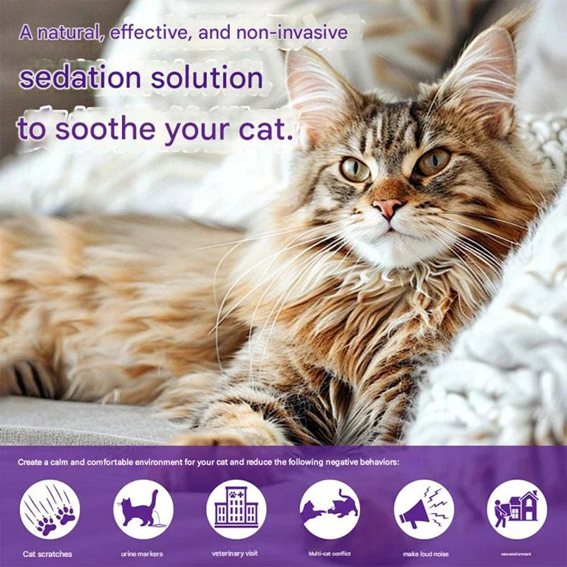 Cat and Dog Pheromone Diffusion 4-in-1 Pet - ProPawPet.com