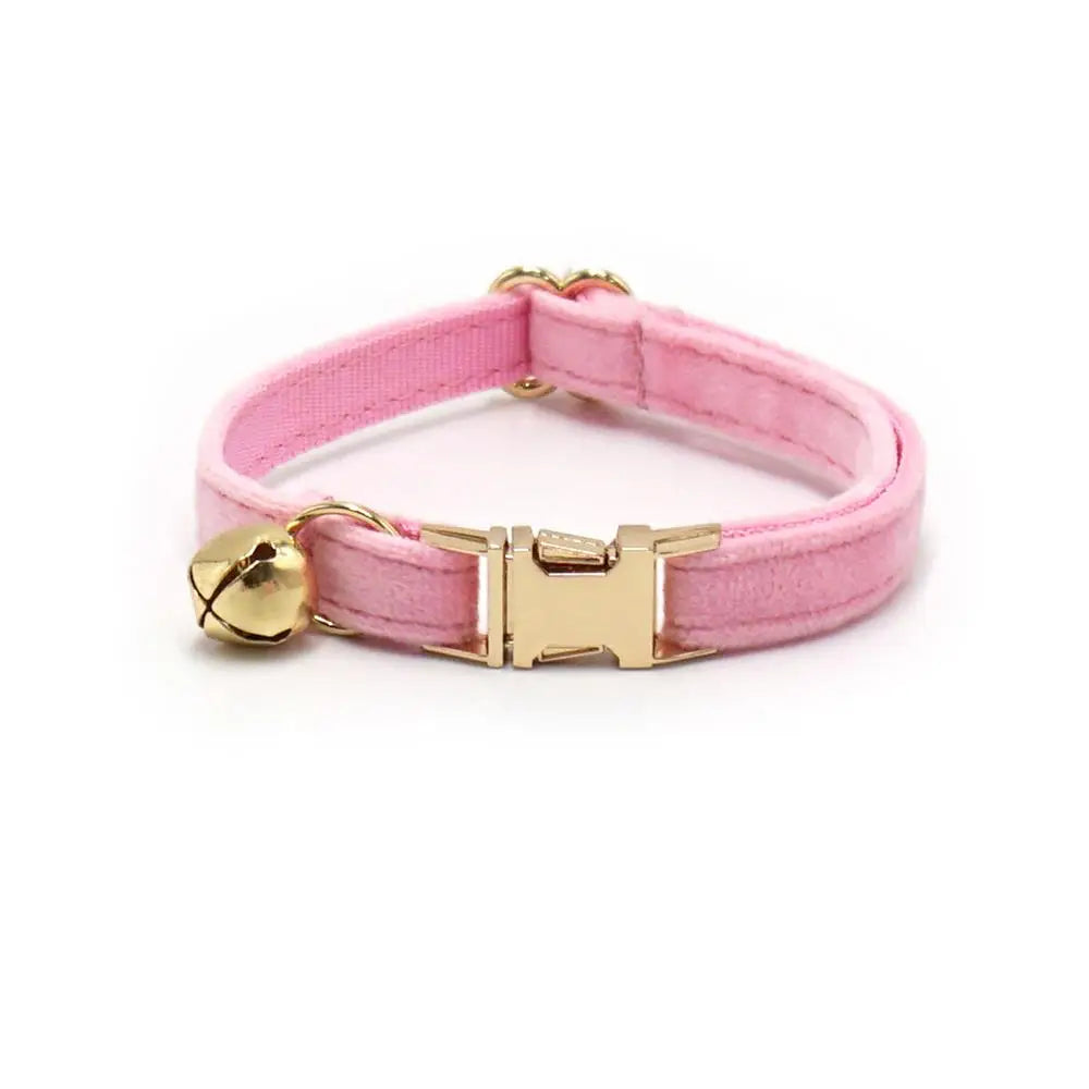 Free Engraving Customized Multicolor Soft - ProPawPet.com