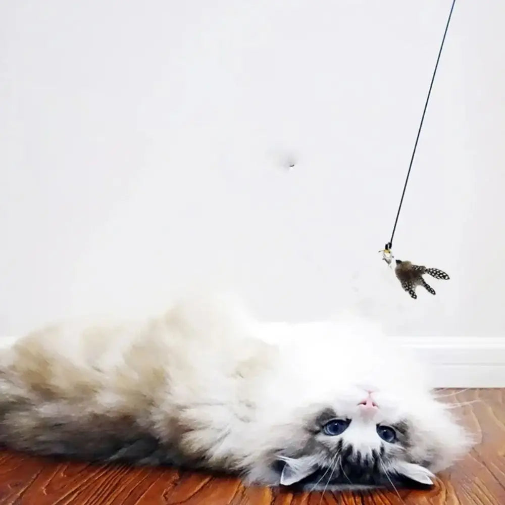 New Detachable Cat Teasing Wand With Bell - ProPawPet.com