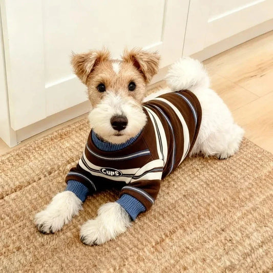 Warm Striped Hoodie Pet Clothes for Cats And - ProPawPet.com