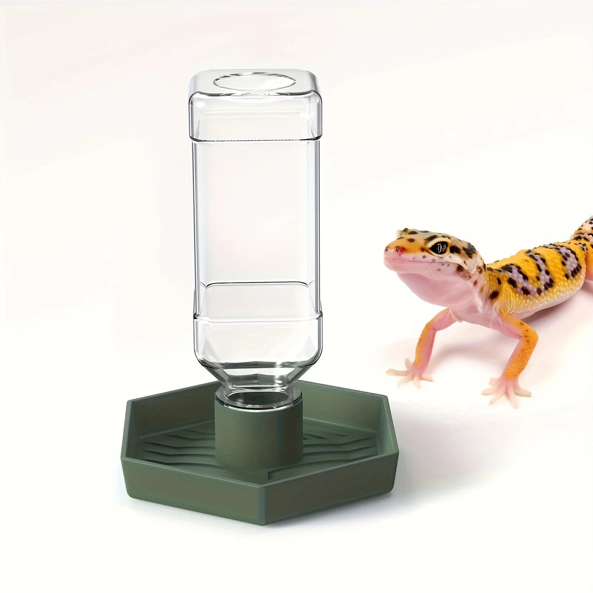 Pet Automatic Feeders Waterer for Small Repitiles Lizards – Reptile Supplies