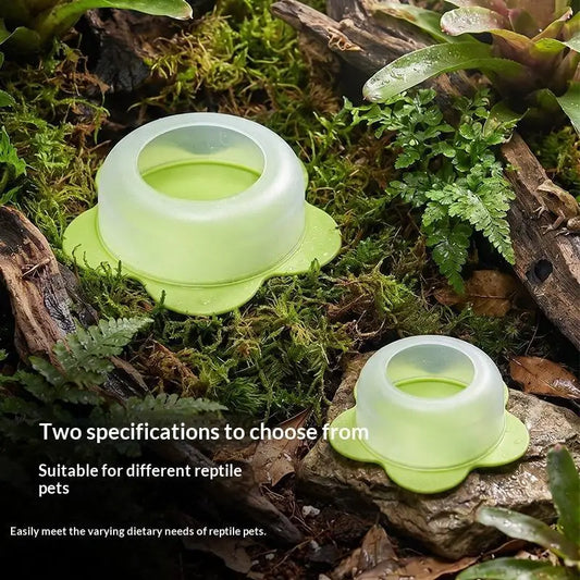 Reptile Anti Escape Feeding Dish Waterproof - ProPawPet.com
