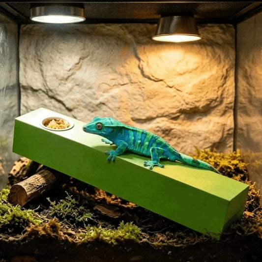 Anti Slip Lizard Feeding Stick EVA Wear - ProPawPet.com