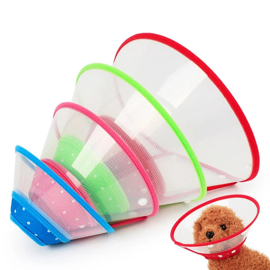 Cat Dog Collar Neck Cone Recovery Collar - ProPawPet.com