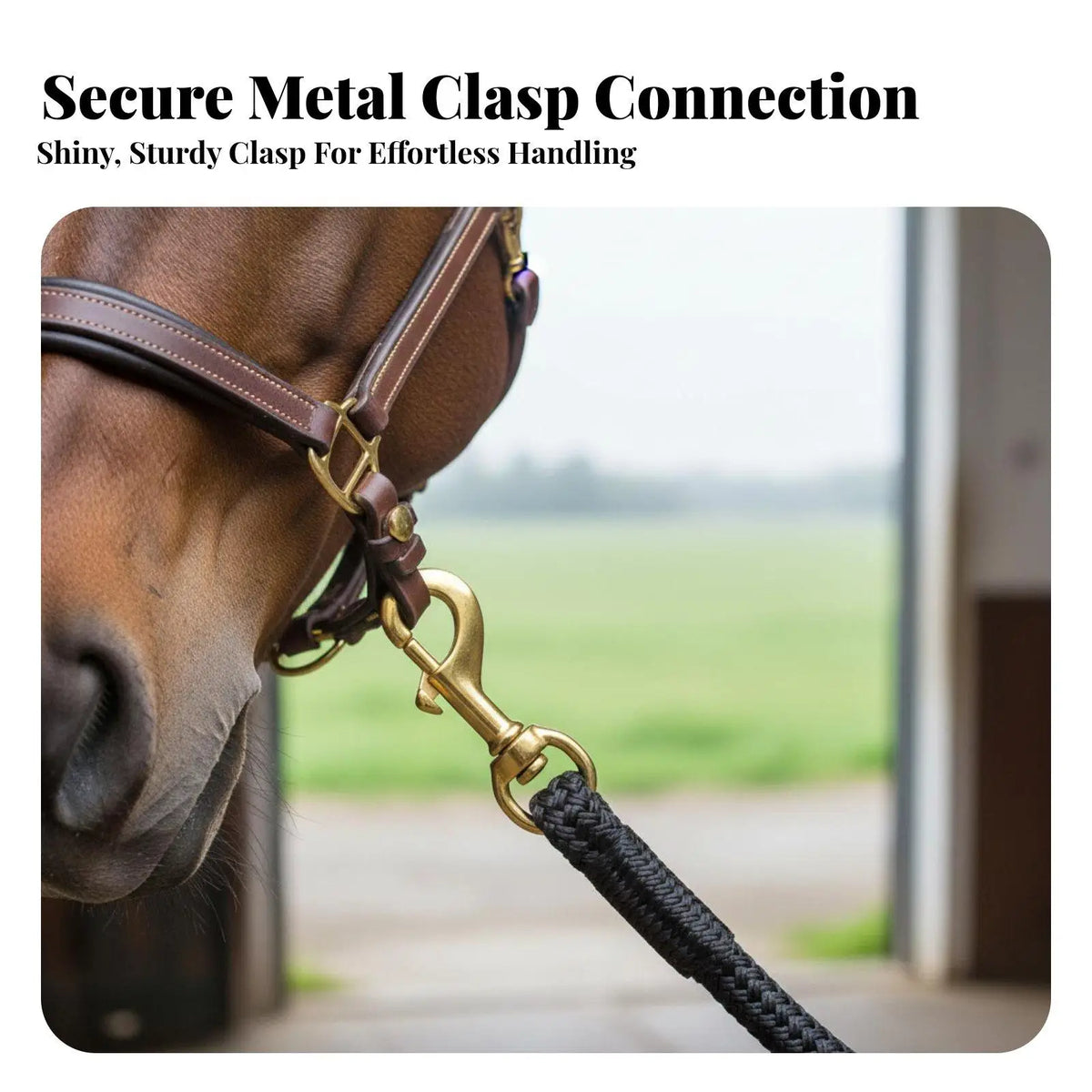 Nylon Horse Rein Lunge Line 3 Meter 4.5 - ProPawPet.com