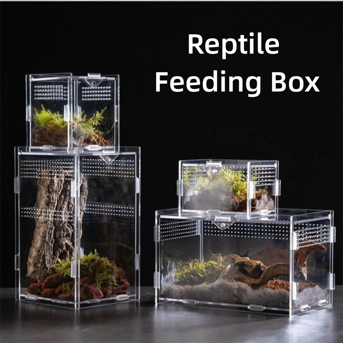 Durable Acrylic Reptile Habitat Clear - ProPawPet.com