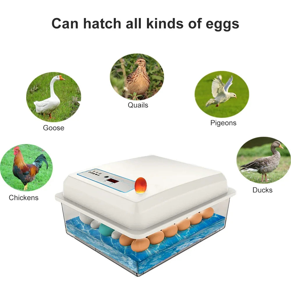 20 Eggs Incubator Set Fully Automatic - ProPawPet.com
