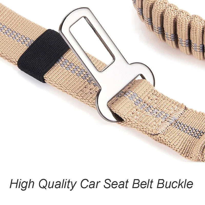 Reflective Shock Absorbing Pet Leashes with - ProPawPet.com