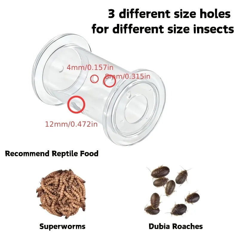 4/10pcs Interactive Feeding Toys for Bearded - ProPawPet.com
