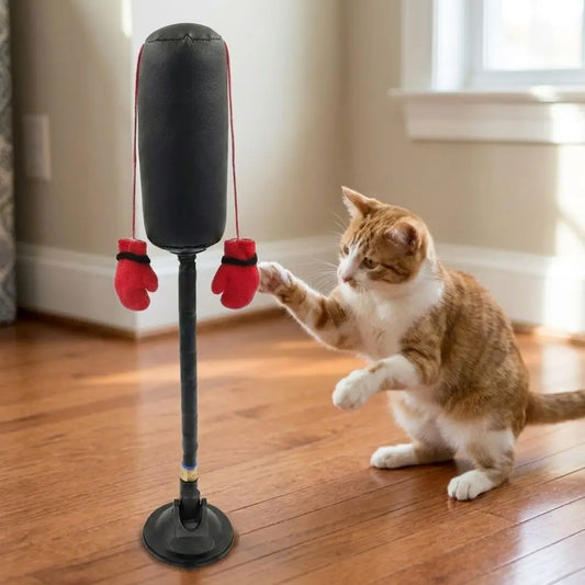 Suction Cup Cat Boxing Toy Scratch Trainer - ProPawPet.com