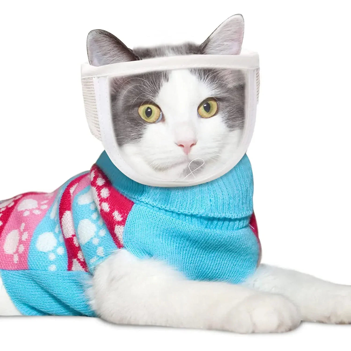 Breathable Clear Cat Muzzle Anti-Bite - ProPawPet.com