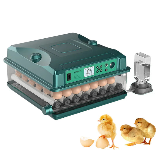36 Eggs Fully Automatic Egg Incubator, 5 - ProPawPet.com