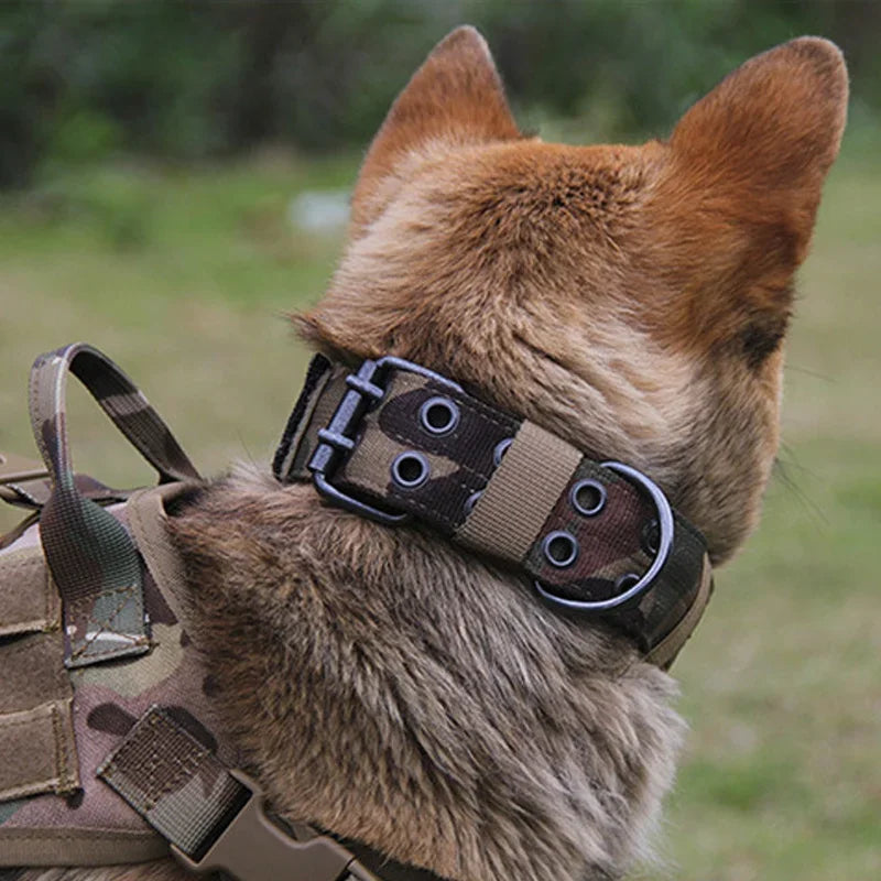 Adjustable Dog Collars Classic Reflective - ProPawPet.com