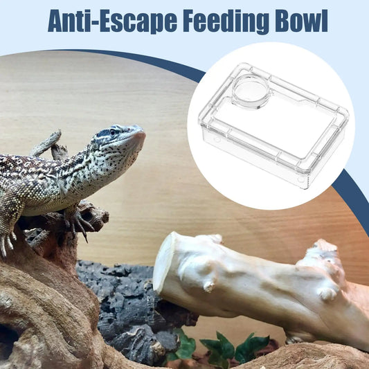 Anti-Escape Reptile Food Dish Water Feeding - ProPawPet.com