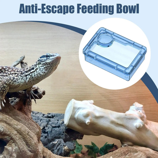 Reptile Escape Proof Feeding Dish Powder - ProPawPet.com