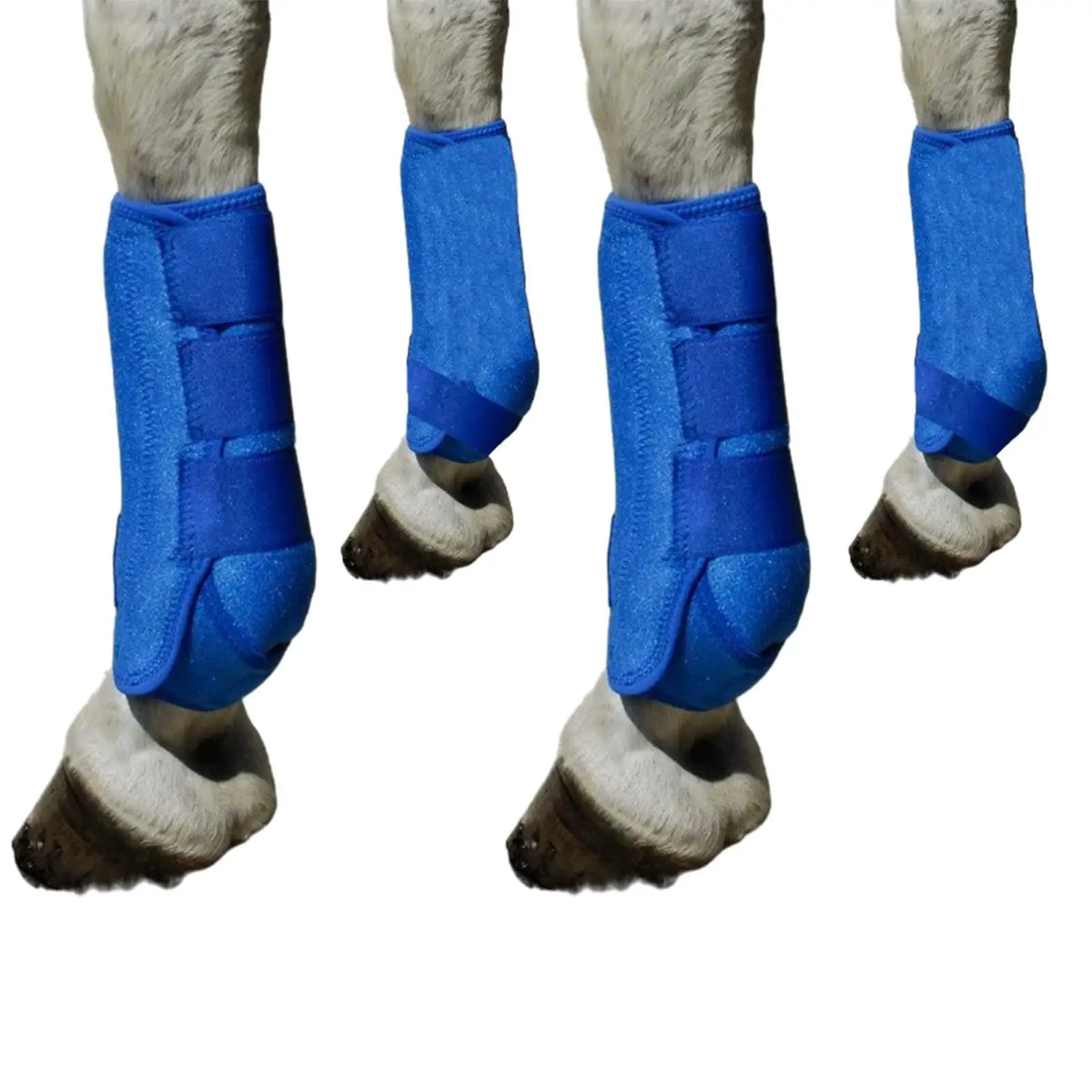 4 Pieces Horse Boots Equestrian Equipment - ProPawPet.com