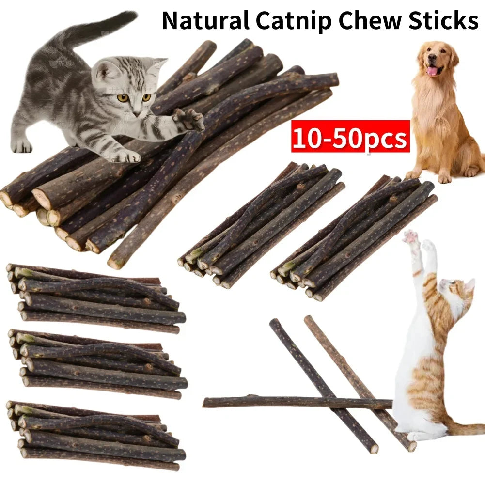 10-50PCS Natural Cat Catnip Toy Kitten Molar - ProPawPet.com