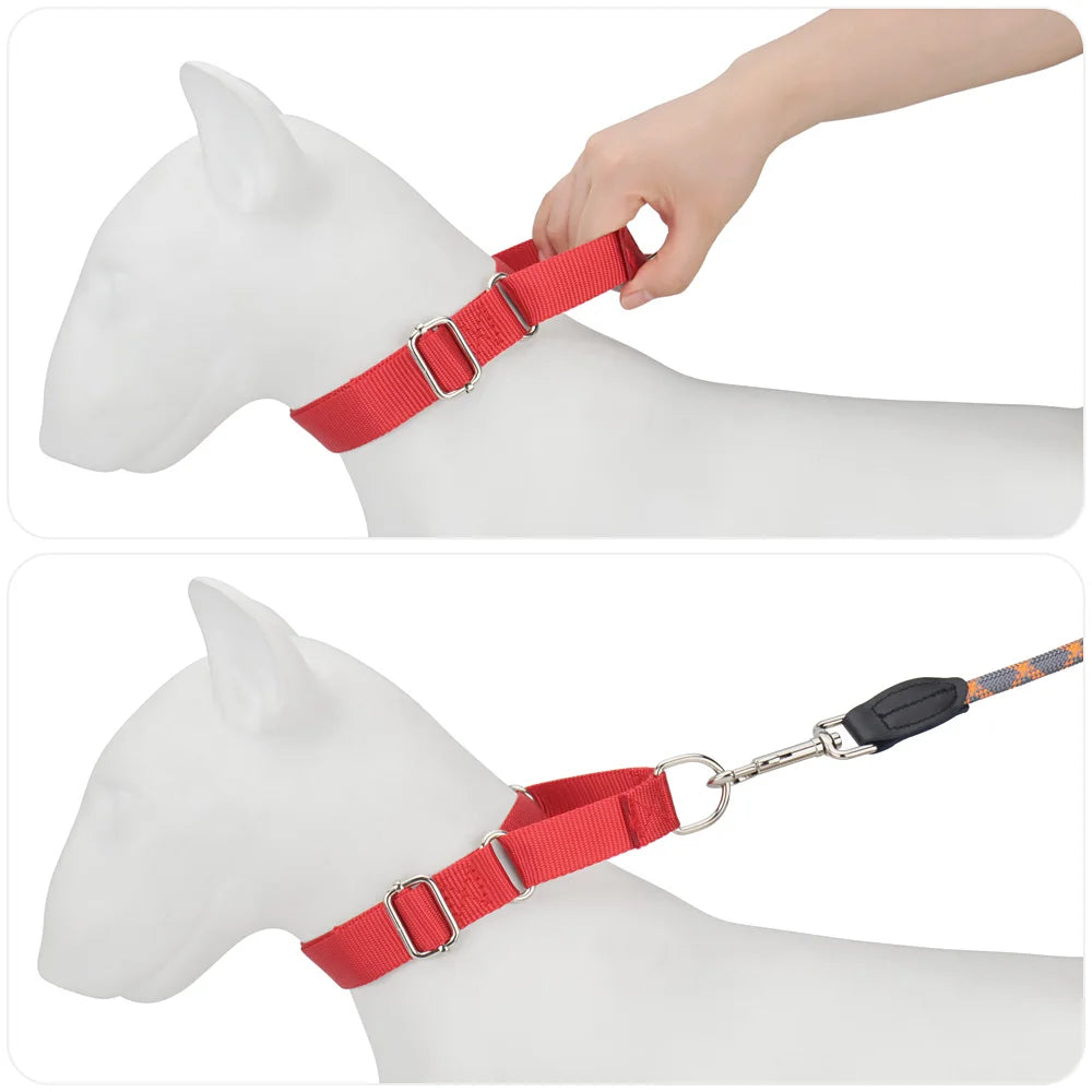 Martingale Collar for Dogs，Dog Collar with - ProPawPet.com