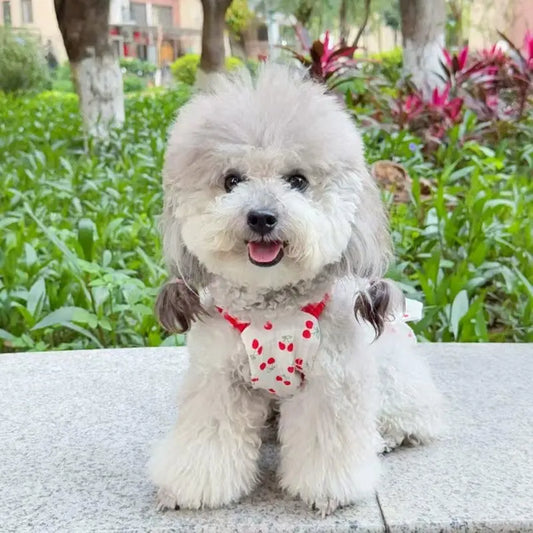 Cotton Pet Dog Cat Dress Cake Skirt Clothes - ProPawPet.com