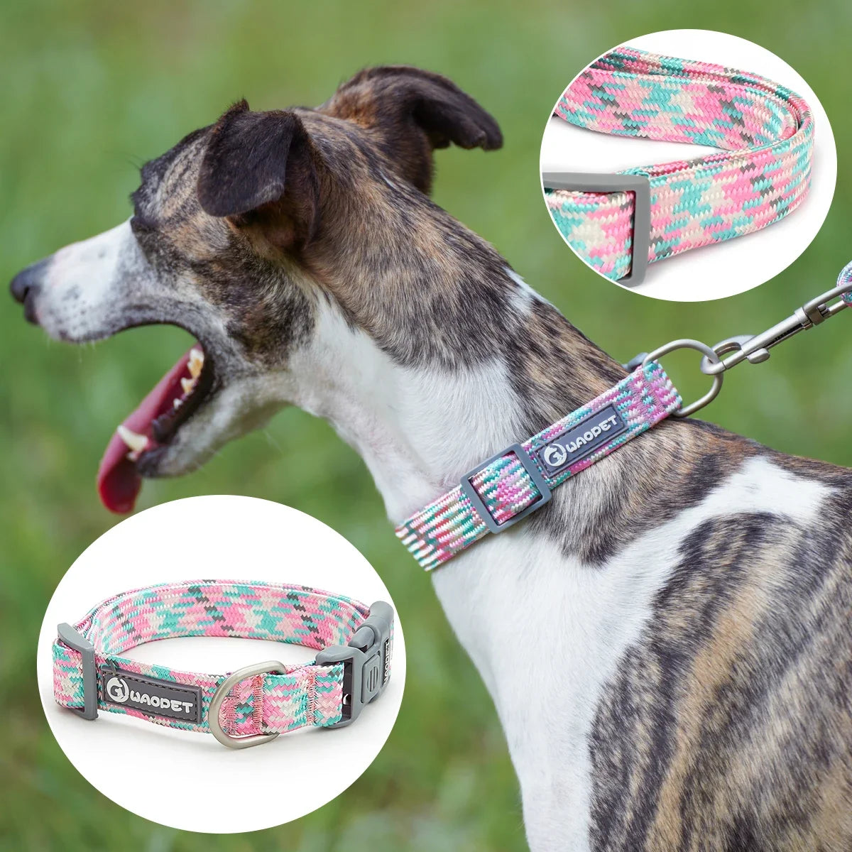 Pet Supplies Dog Collar For Puppy Medium - ProPawPet.com