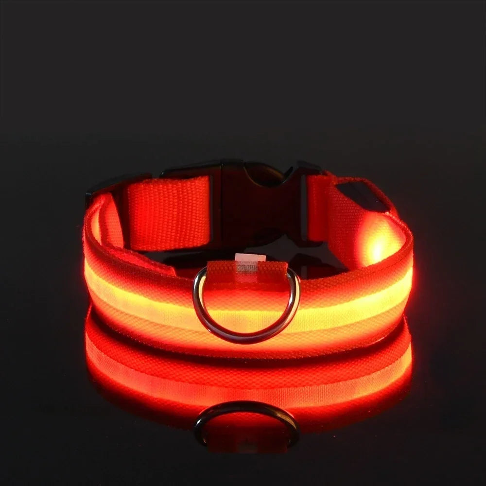 Dog Collar Nylon LED Night Safety Flashing - ProPawPet.com