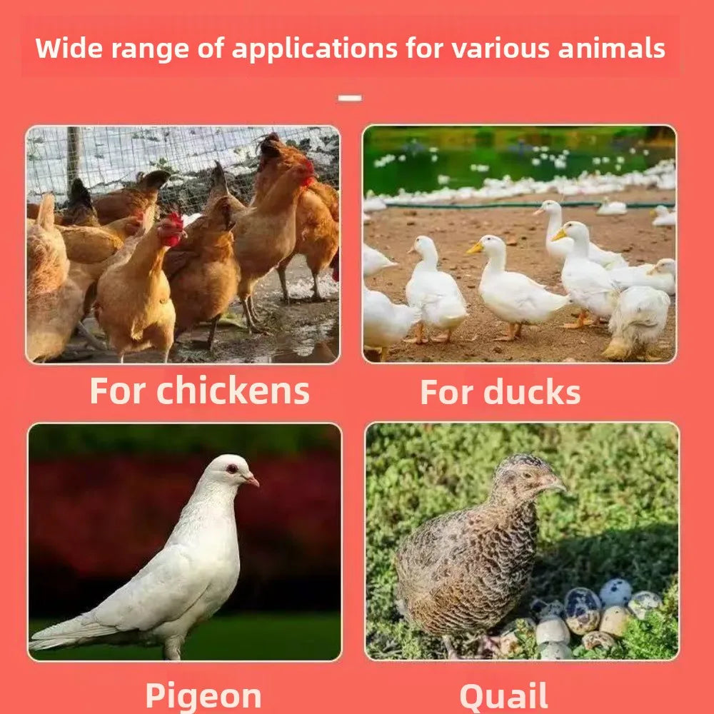 Automatic Gravity Chicken Duck Feeder Kit - ProPawPet.com