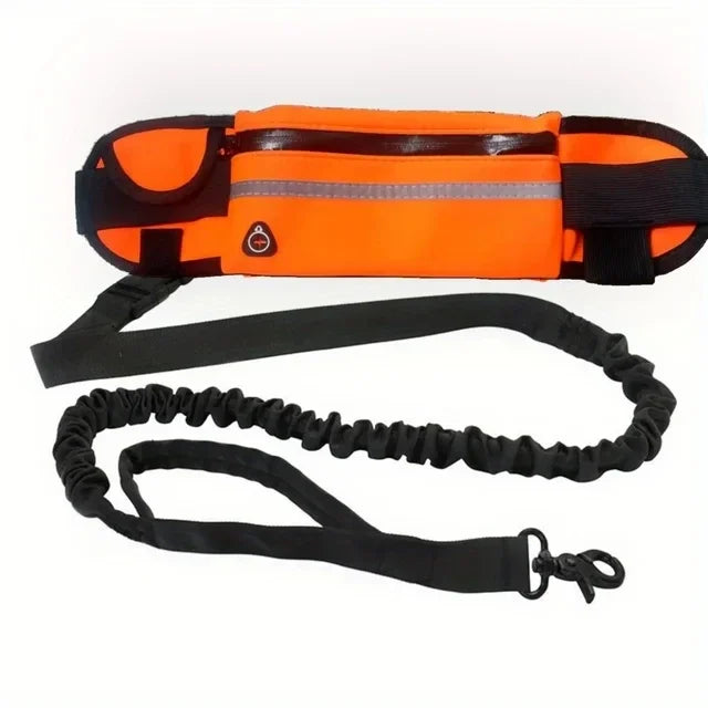 Personalized Dog Walking Collar Free Hands Leather Reflective, Adjustable