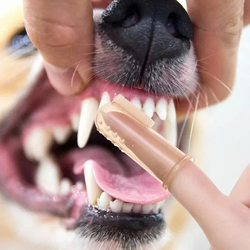 1/20x Pet Silicone Finger Toothbrush Teeth - ProPawPet.com