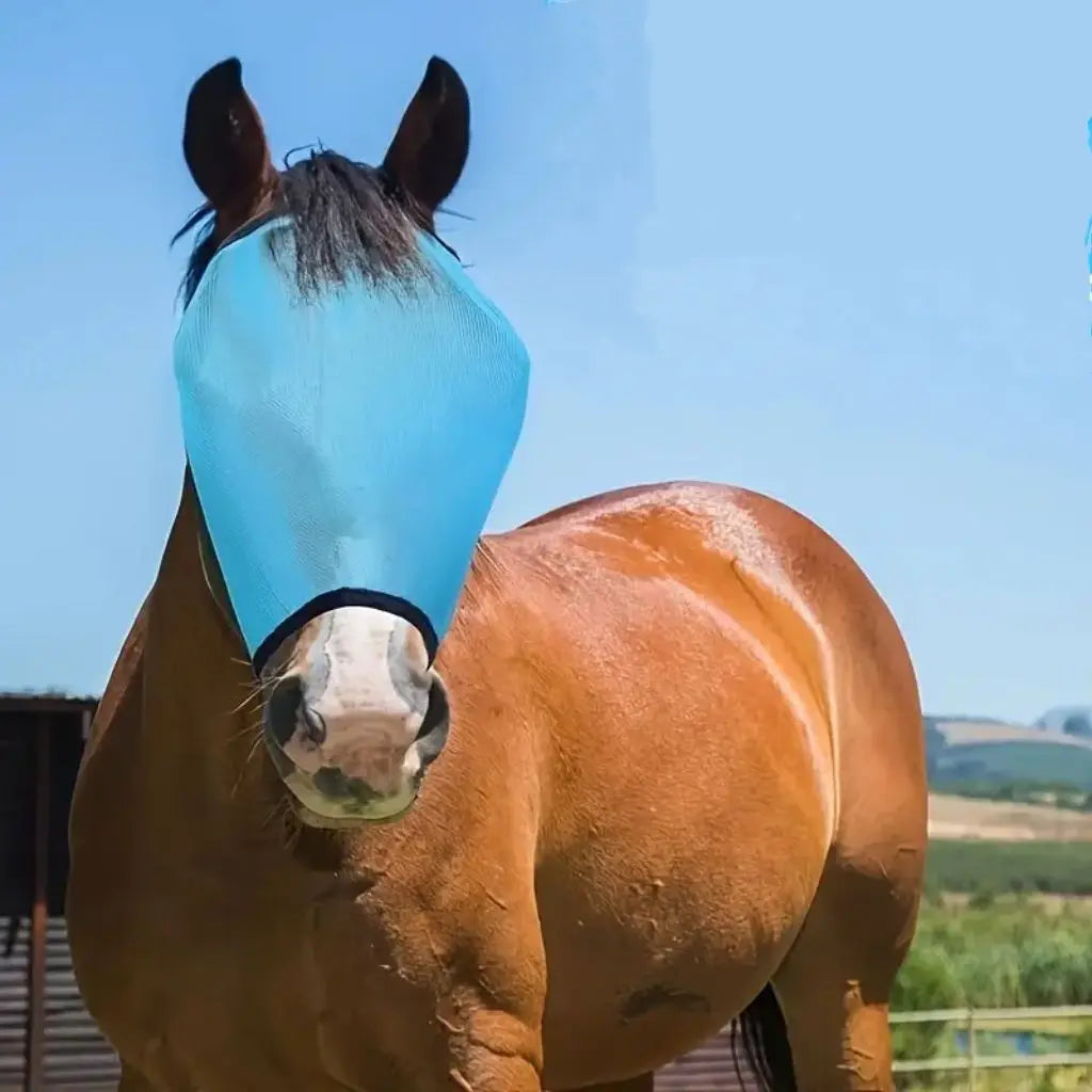 Horse Protective Gear Hook Loop Adjustable - ProPawPet.com