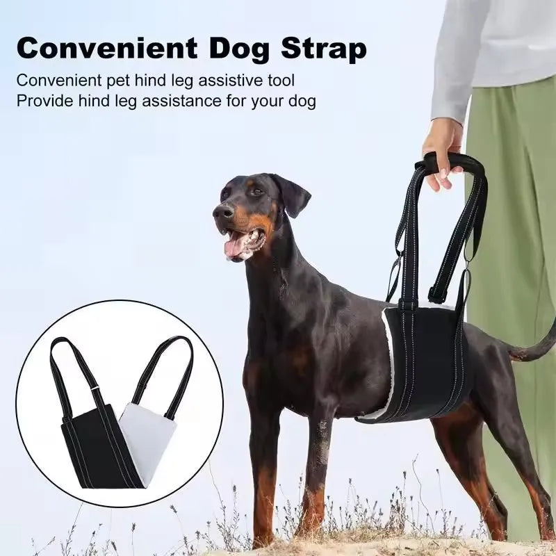 Adjustable Dog Sling for Back Legs Support - ProPawPet.com