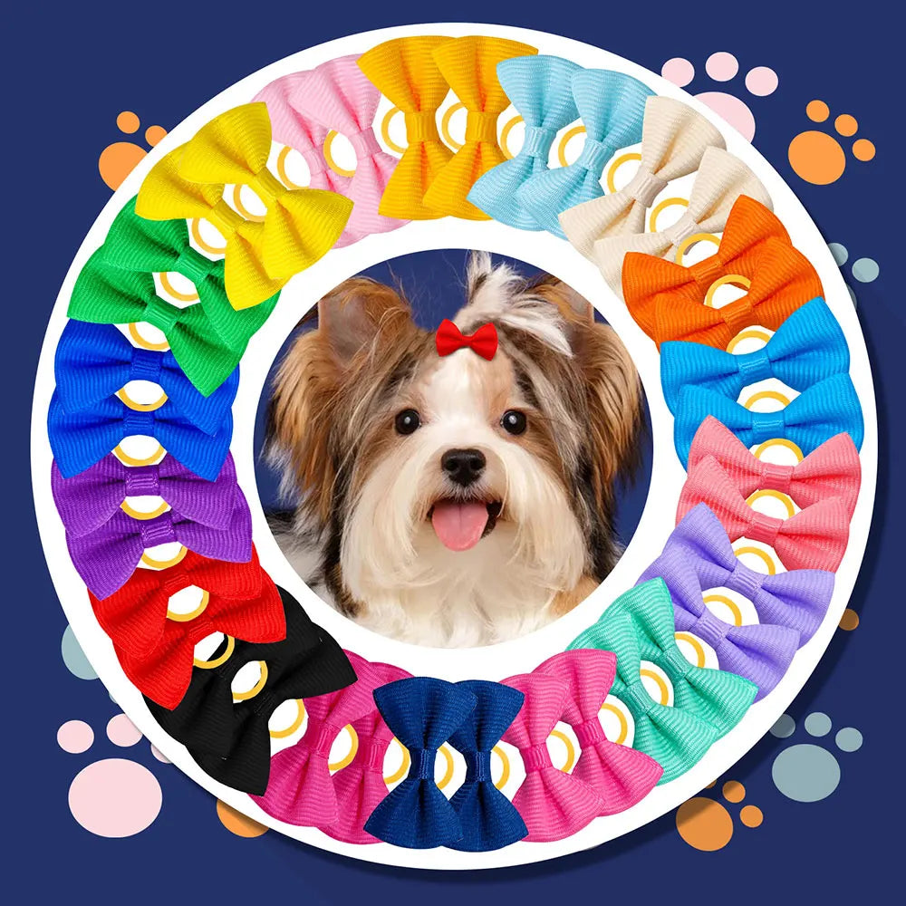 10/20/30PCS Pet Grooming Hair Bows Puppy Mix - ProPawPet.com