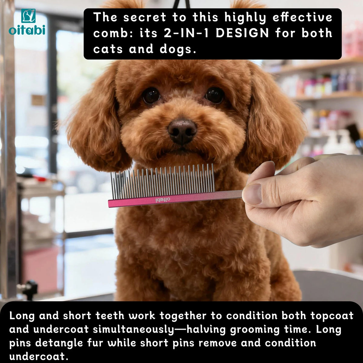 Oitabi Professional Pet Grooming Comb for - ProPawPet.com