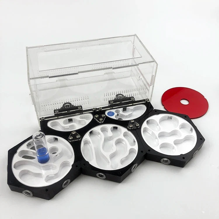 Moisturizing Idea Reptile Terrarium Ants - ProPawPet.com