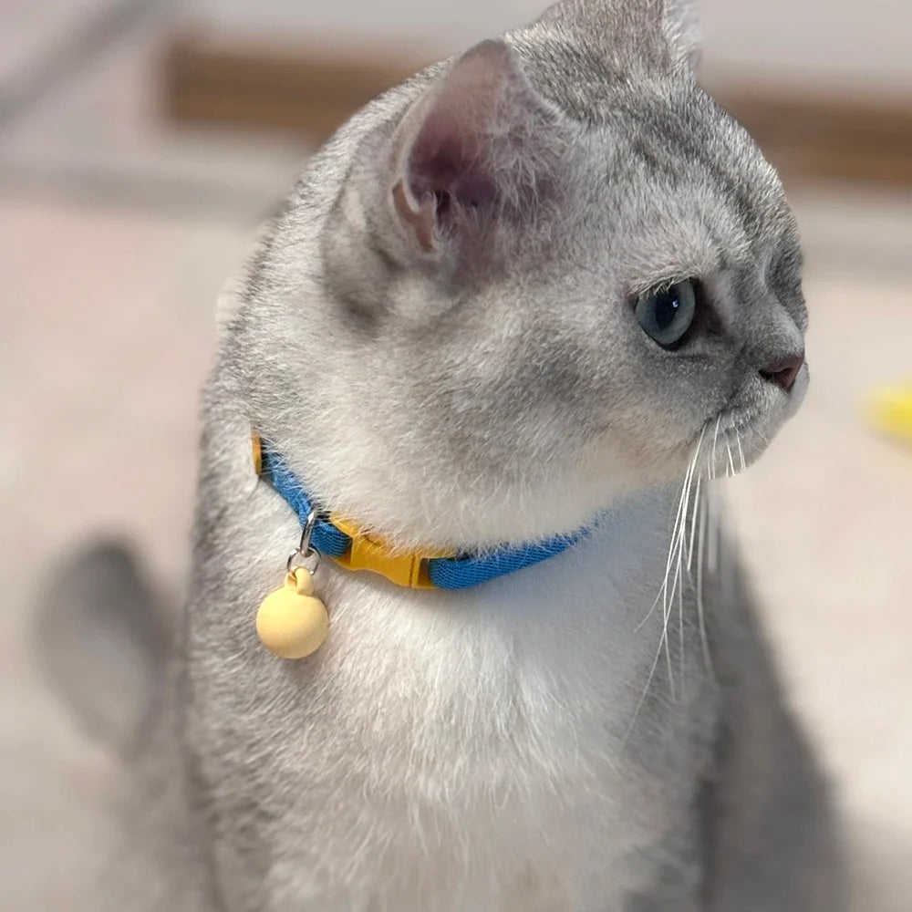 Cat Collar Elastic Webbing Puppy Necklace - ProPawPet.com