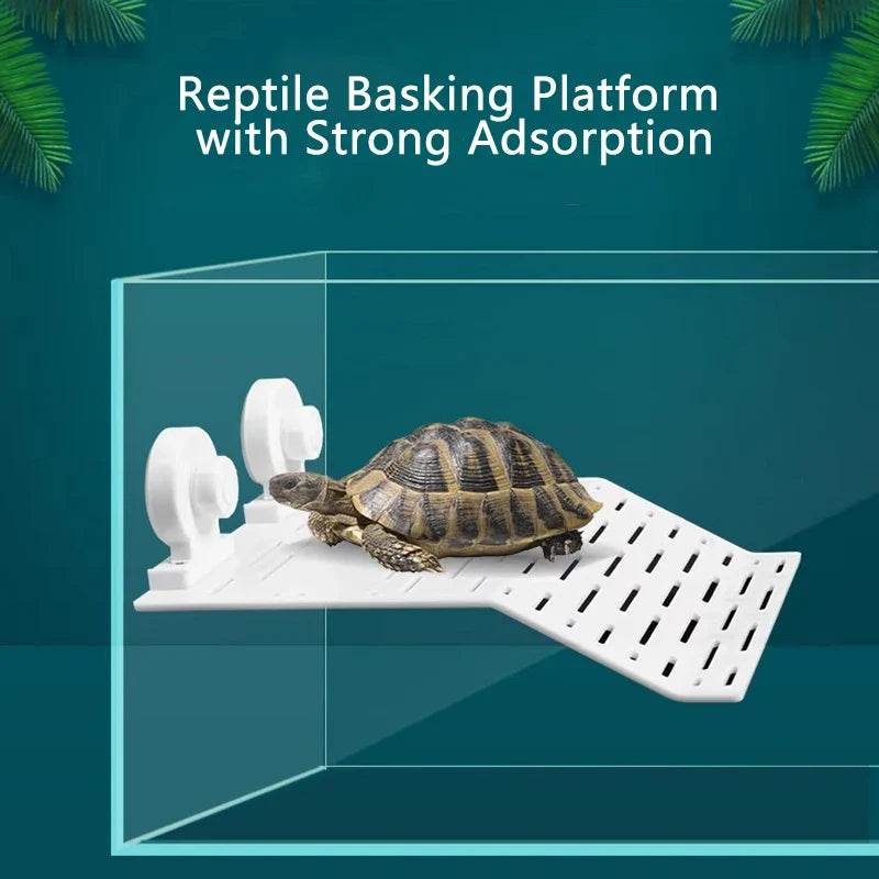Turtle Basking Drying Resting Sun Platform - ProPawPet.com