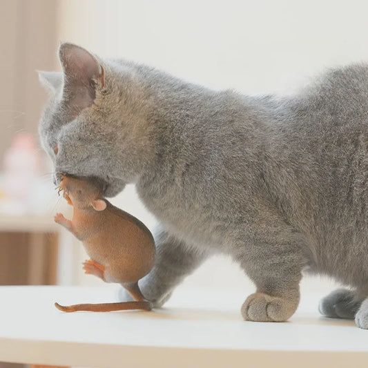 Realistic Cat Mouse Toy Soft Rubber Teaser - ProPawPet.com