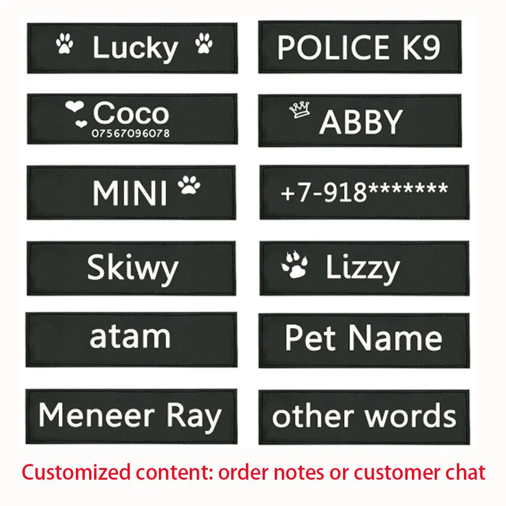 2PCS Custom Logo Dog Name Personalized Dog - ProPawPet.com