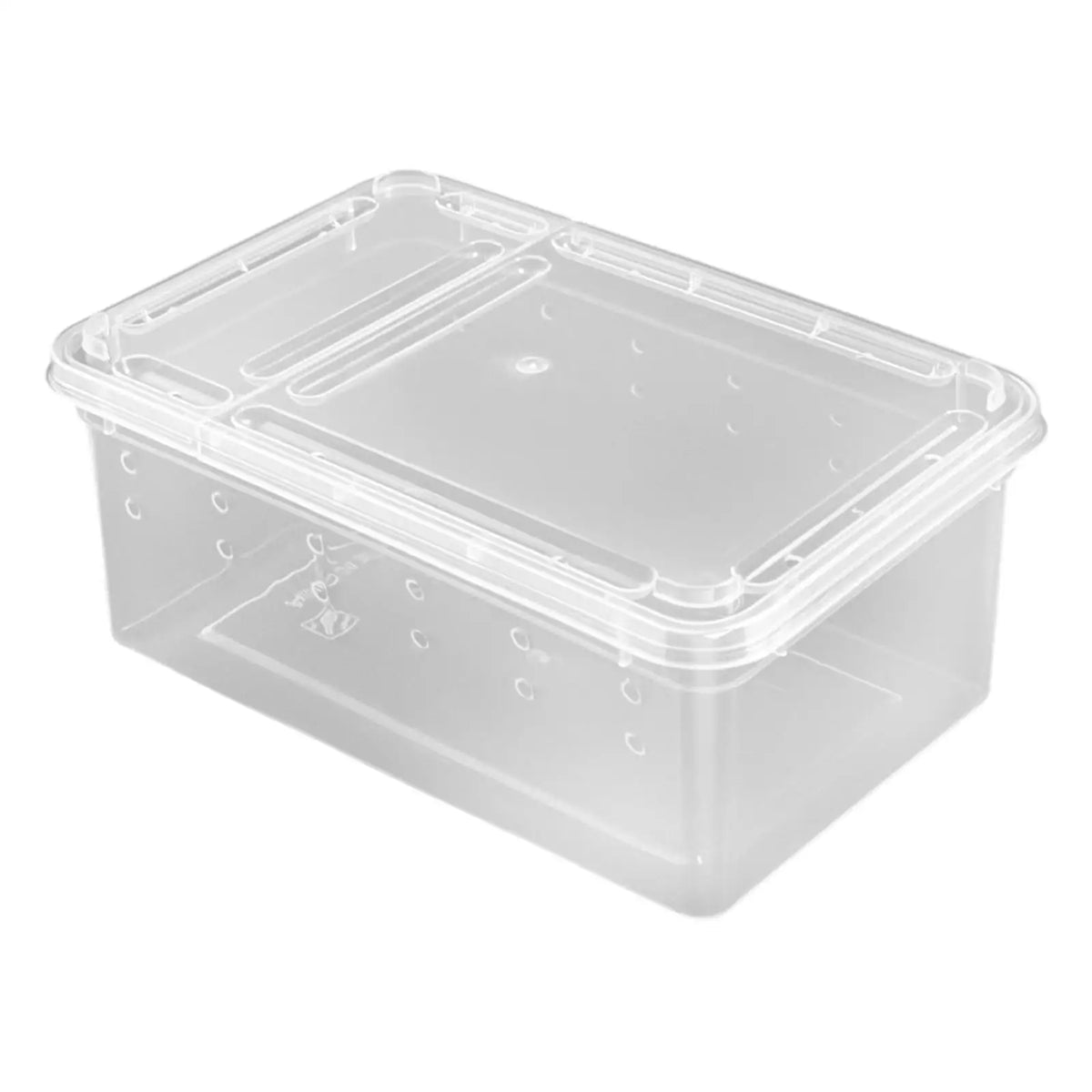 Reptile Feeding Box Terrarium Mini Clear Transport Container – 3 Colors