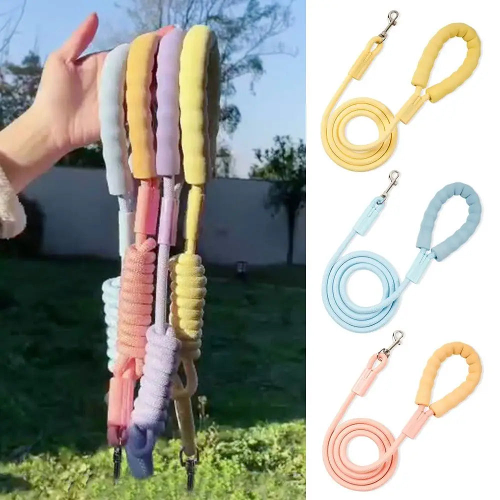 Summer Dopamine Dog Leashes Durable with - ProPawPet.com