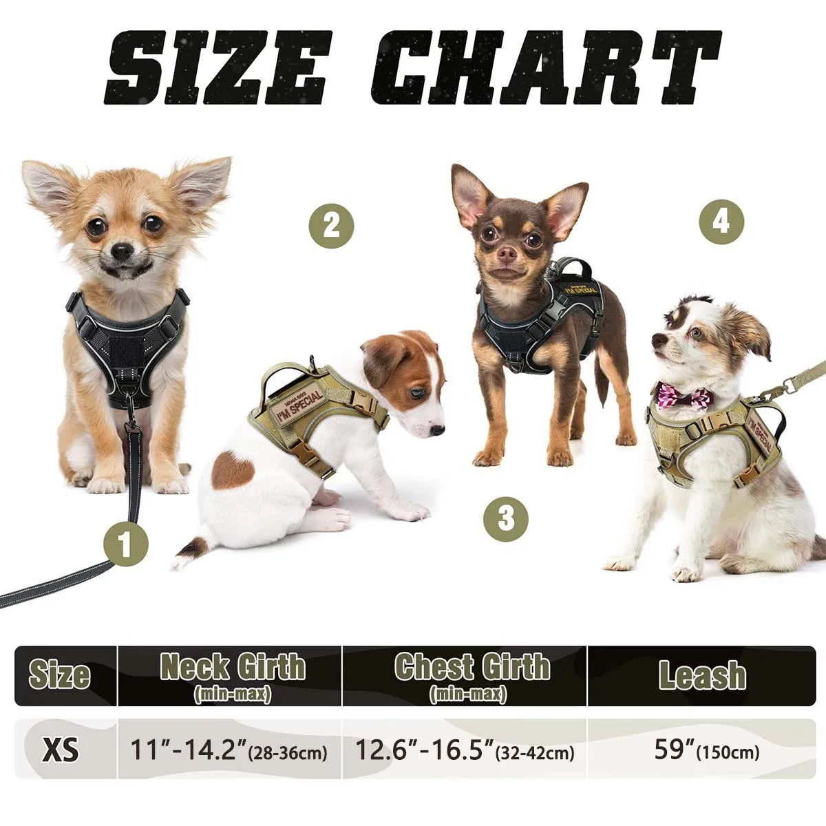 Tactical Dog Harness for Small Dogs - - ProPawPet.com