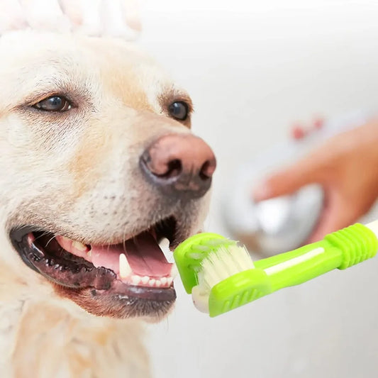 3-Sided Plastic Pet Toothbrush for Dogs & - ProPawPet.com