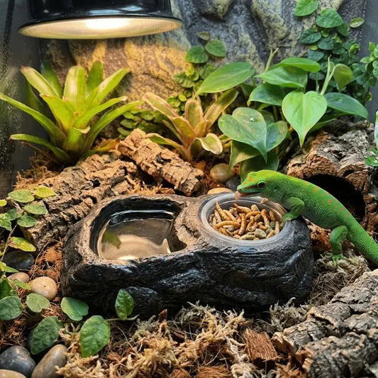 Imitation Stone Resin Rock Feeder Dish Wear - ProPawPet.com