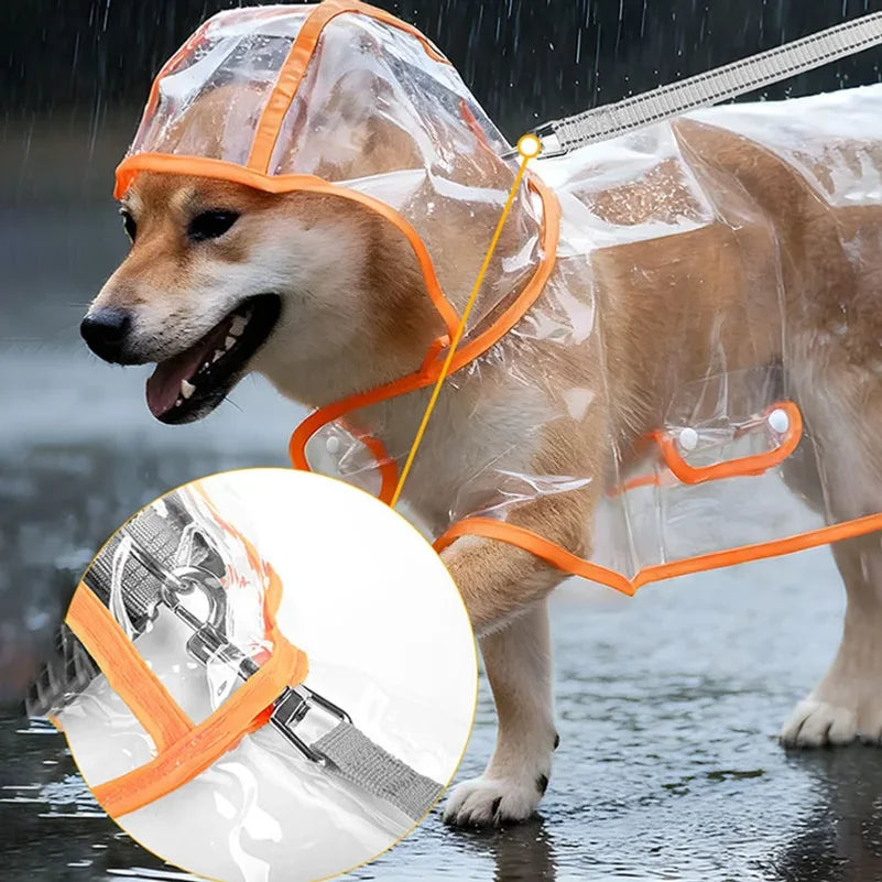 Pet Raincoat Transparent Dog Raincoat - ProPawPet.com